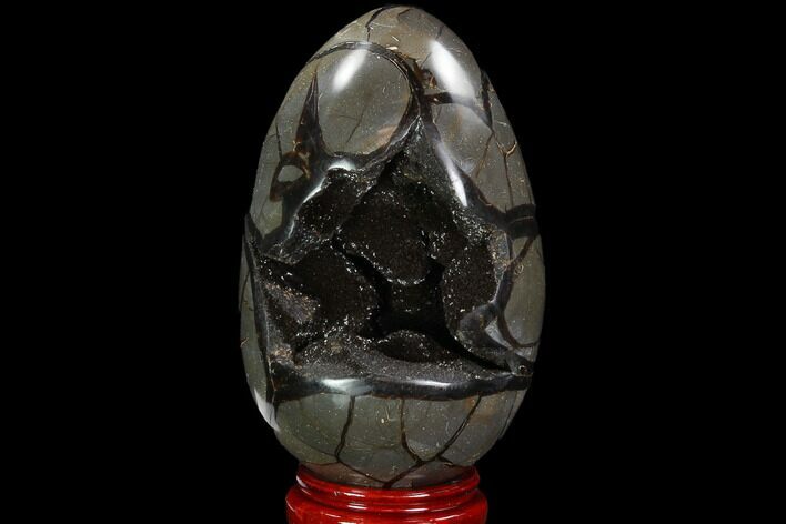 Septarian Dragon Egg Geode - Black Crystals #98848